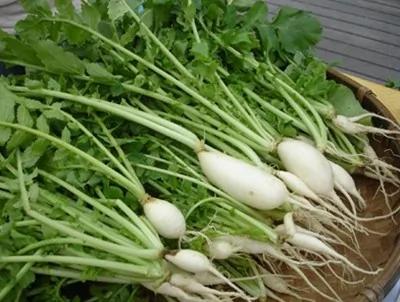 虾壳、粗梗、蔬果皮营养效果胜于良药