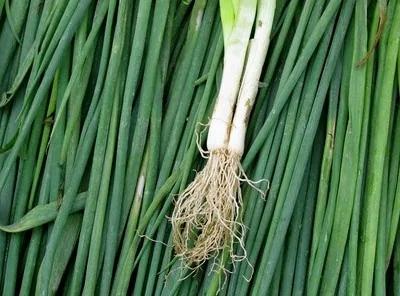 虾壳、粗梗、蔬果皮营养效果胜于良药