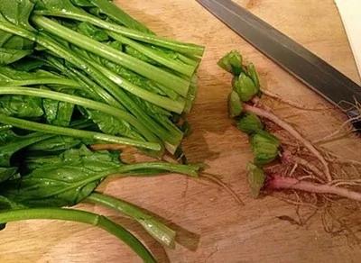 虾壳、粗梗、蔬果皮营养效果胜于良药