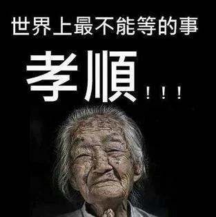 孝顺母亲会给十二生肖带来啥好运?