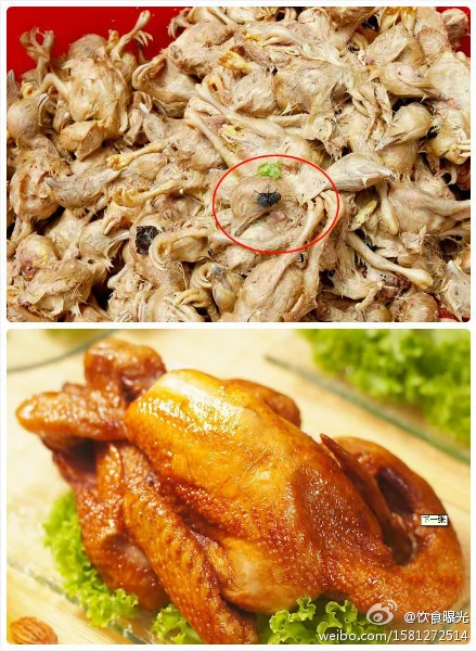 震惊！中国人一年吃掉2亿多只病死鸡！