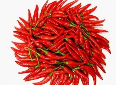 养生:口感差味道怪的7大好食物
