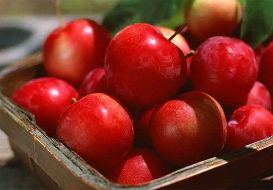 “最肮脏果蔬”黑名单揭晓苹果第一草莓第二