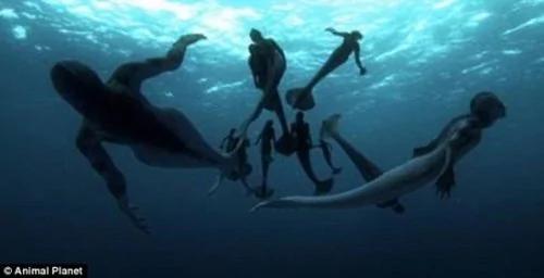 “美人鱼”遗骸 半人生物成世纪之谜 组图