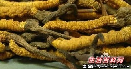 教你鉴别一些有毒食品