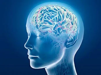 研究发现偏头痛患者大脑皮层多有畸变