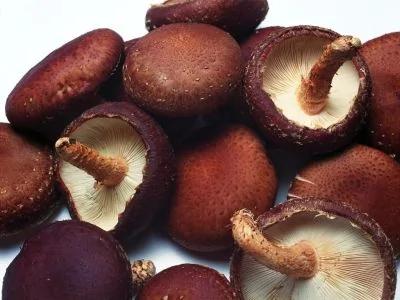 8种食物让你无病无灾