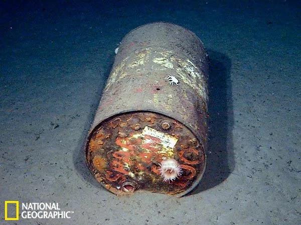 探测器拍摄深海垃圾遍地:改变海洋生态系统(高清组图)
