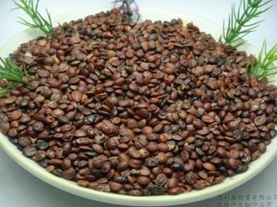 失眠秘籍:看我是如何攻克失眠的
