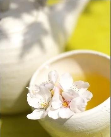 上班族的最爱 6款明目护眼茶