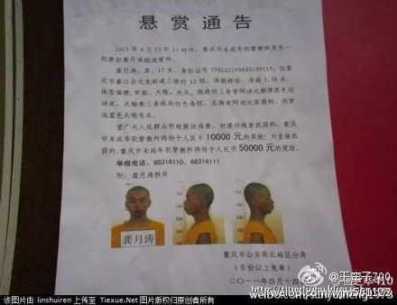 （图）2011年重庆公安局北碚区分局对15岁嫌犯龚月涛的通缉令