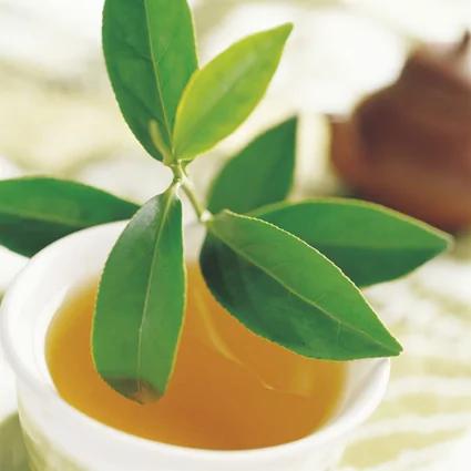 日饮三杯茶七大好