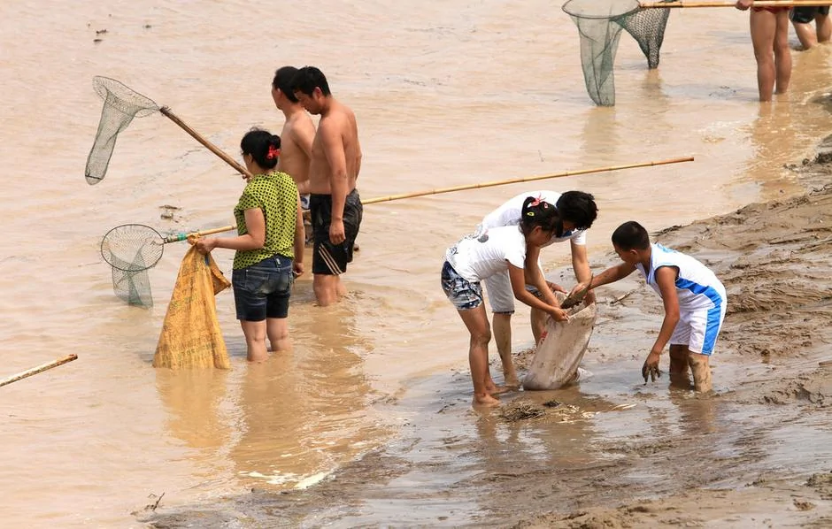 河南三門峽大壩開閘調水調沙上千人瘋狂撈魚(高清組圖)
