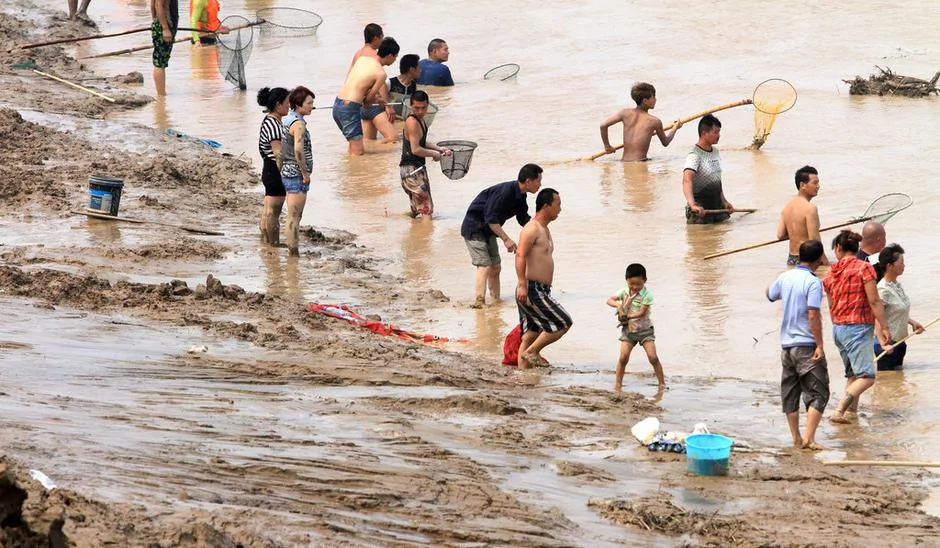 河南三门峡大坝开闸调水调沙上千人疯狂捞鱼(高清组图)