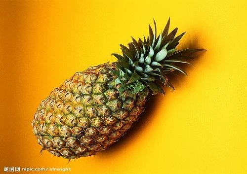 十大冠军食物