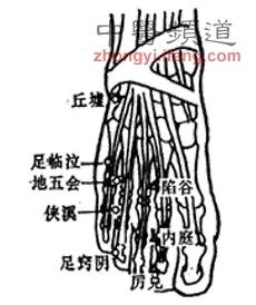 按摩防治百病 必记手脚上的13穴