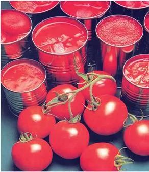医生绝对不碰的食品
