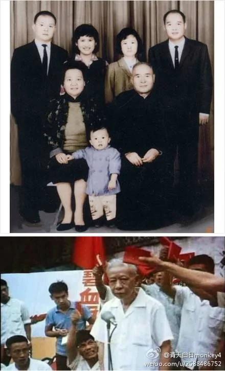 震撼的历史残片:三峡工程表决他被迫退席 灭绝三十年