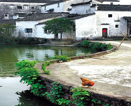 不可思议的中国“太极村”