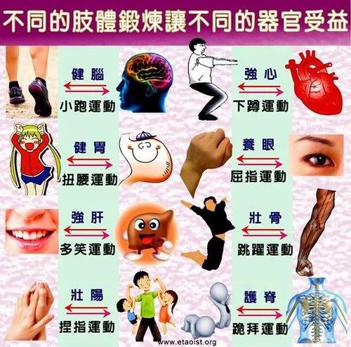 不同的肢体锻炼让不同的器官受益