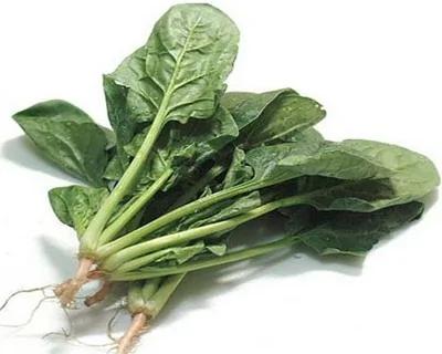 蓝莓燕麦 9种食物让你“不怕死”