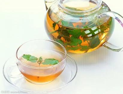 九月份最适合喝的茶