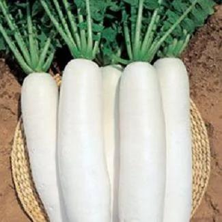 秋季排毒必吃的食物