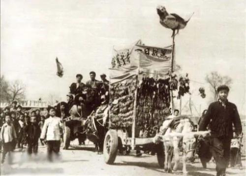 麻雀末日 荒唐的1958年除“四害”运动