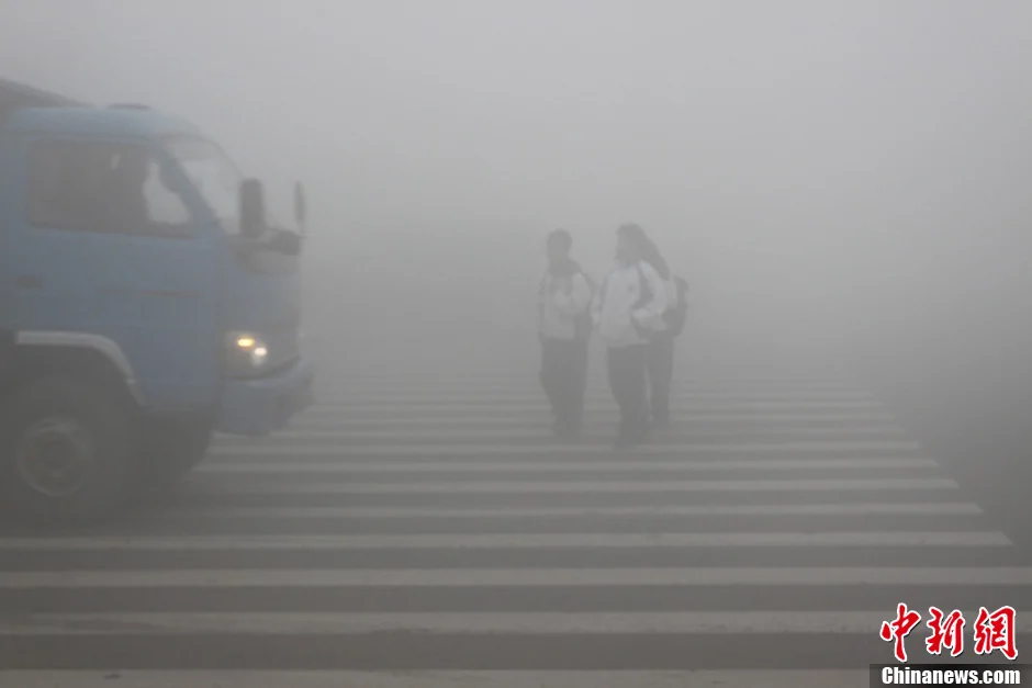 哈尔滨遭大雾封城中小学停课部分能见度不足10米