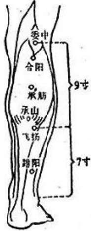 身体里的九个“神奇按钮”