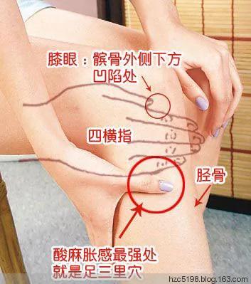 身体里的九个“神奇按钮”