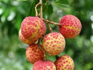 秋季养生:几种食物最排毒