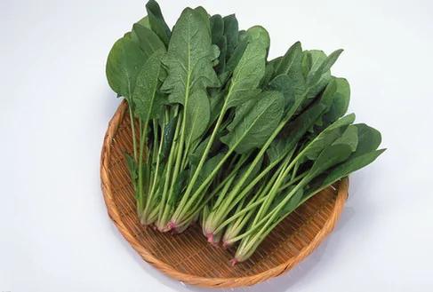 男人女人都离不开的抗衰老食物