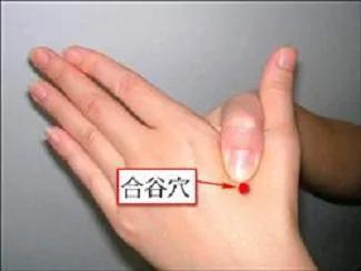 四大疗疾长寿穴 常按按