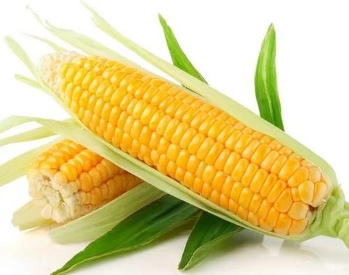 健康 盘点15种有益蔬菜 助你控制血糖