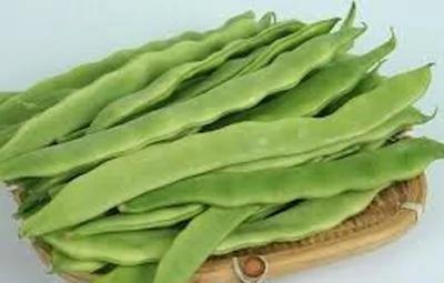 盘点15种有益蔬菜 有助于你的健康