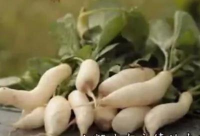 盘点15种有益蔬菜 有助于你的健康