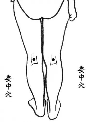 记住这七个穴位 生命就如此的健康