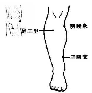 找到身体的七个“排污口”,养生就成功了一半