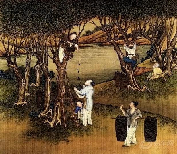 二十四节气的民间风俗