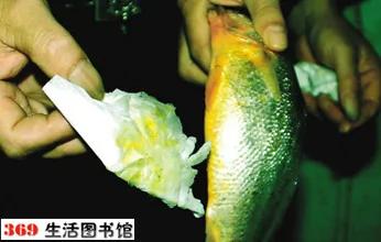 教你 一张白纸巾 检测食品优劣