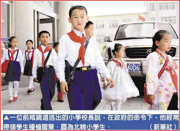 白粉换美金朝鲜组织小学生种罂粟 阿波罗新闻网
