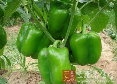 健康小常识 9种食物千万别放冰箱