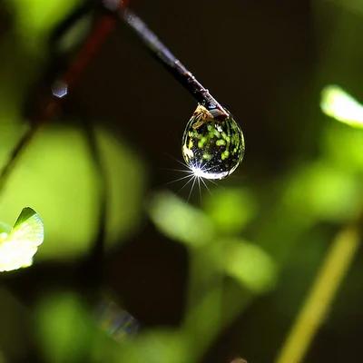 中國傳統文化對「水」的解碼