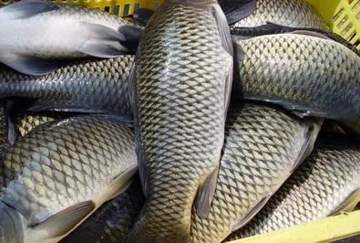 四食物助消除水肿