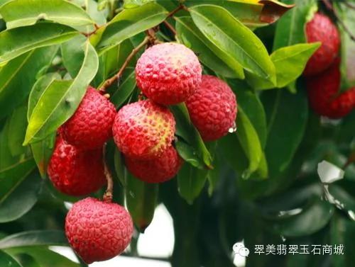 放冰箱会致癌的食品黑名单