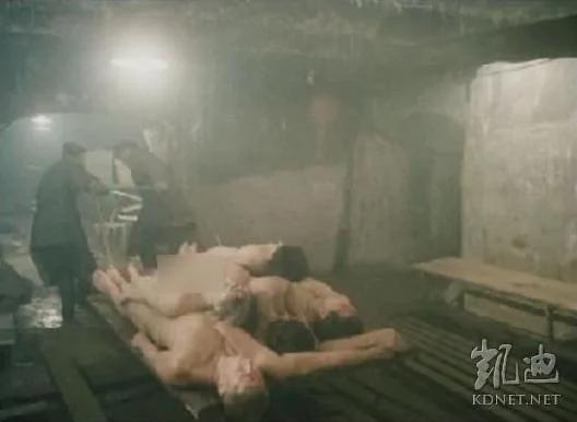 苏联大清洗——和平年代的自残