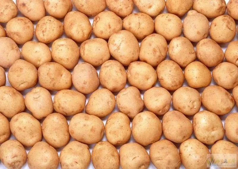 13种养生食物 最适合滋补中国女人