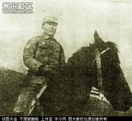 共产党卸磨杀驴权斗大清洗:看看金家父子们有多狠