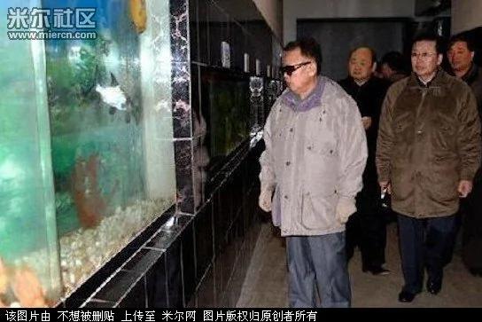共产党卸磨杀驴权斗大清洗:看看金家父子们有多狠